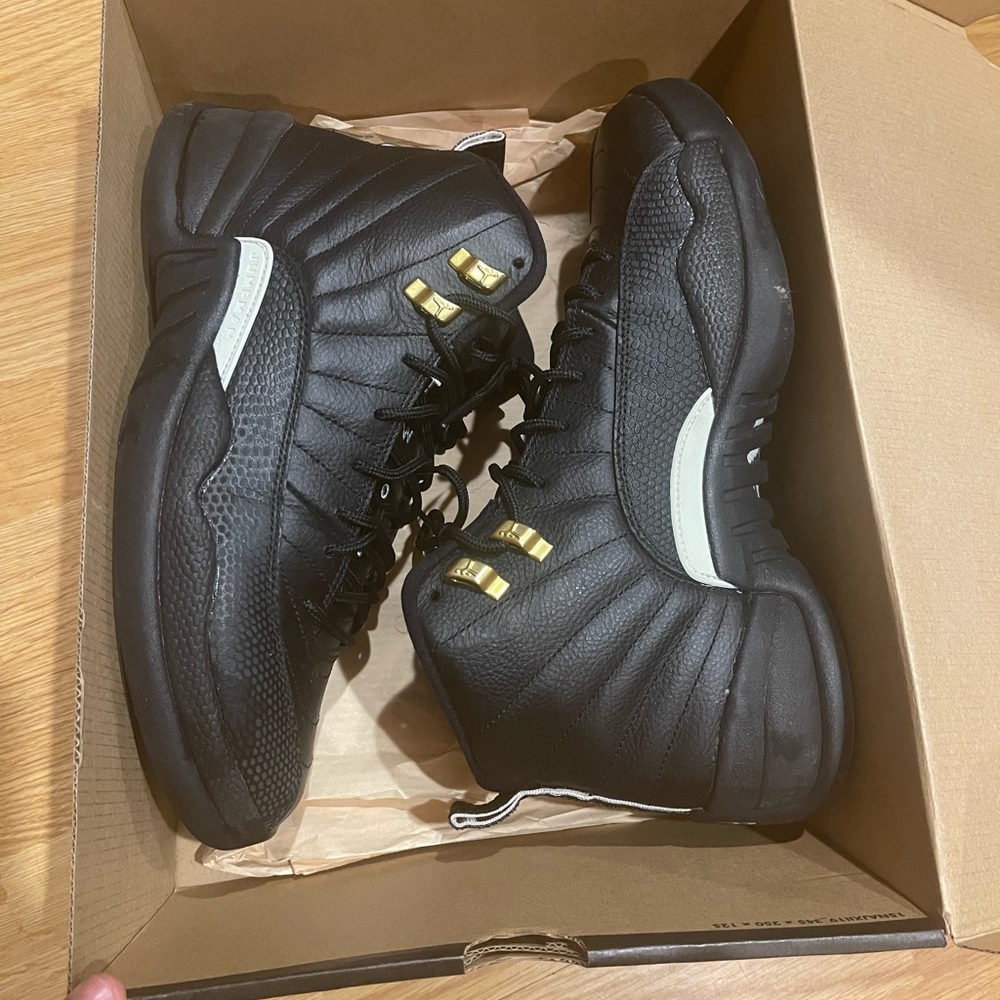Master air Jordan 12